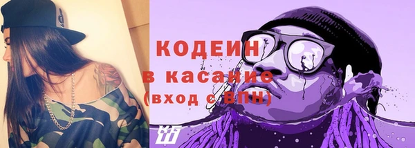 гидра Богданович