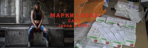 гидра Богданович
