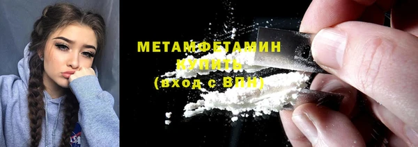 гидра Богданович