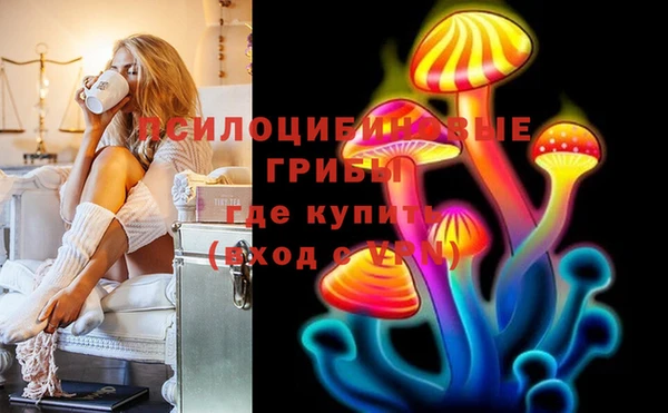 Альфа ПВП Арсеньев